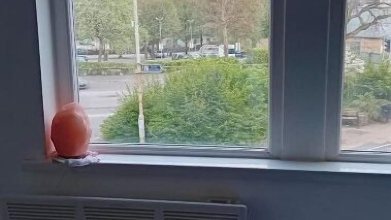 Photo of Others in Fence