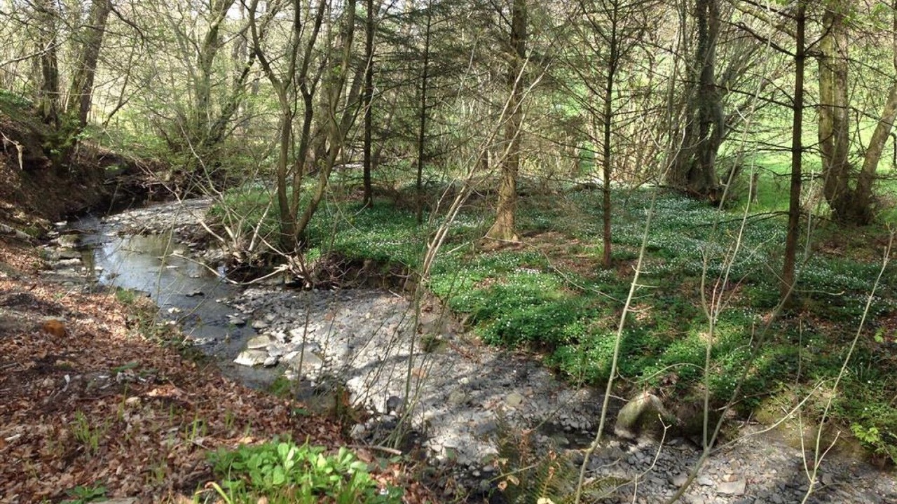 Photo of Others in Llanrwst