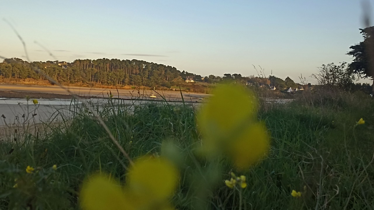 Photo of Others in Locquirec