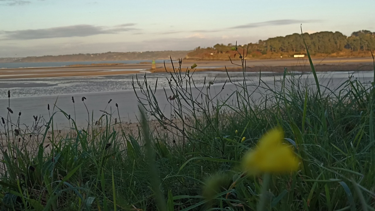 Photo of Others in Locquirec