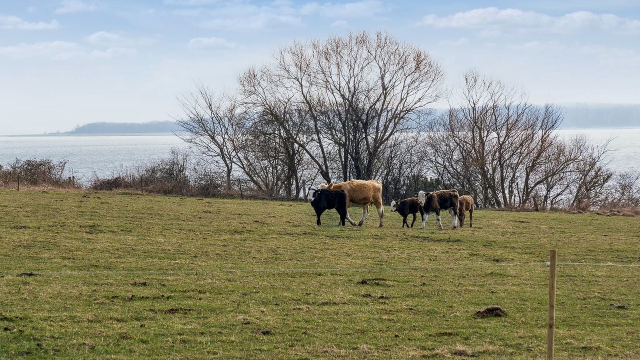 Photo of Others in Frederiksvaerk