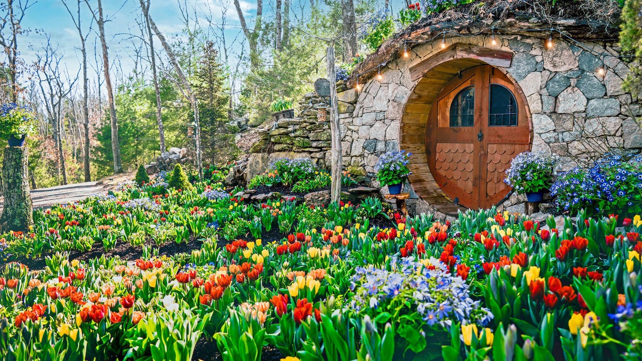 Photo of Others in Wyoming