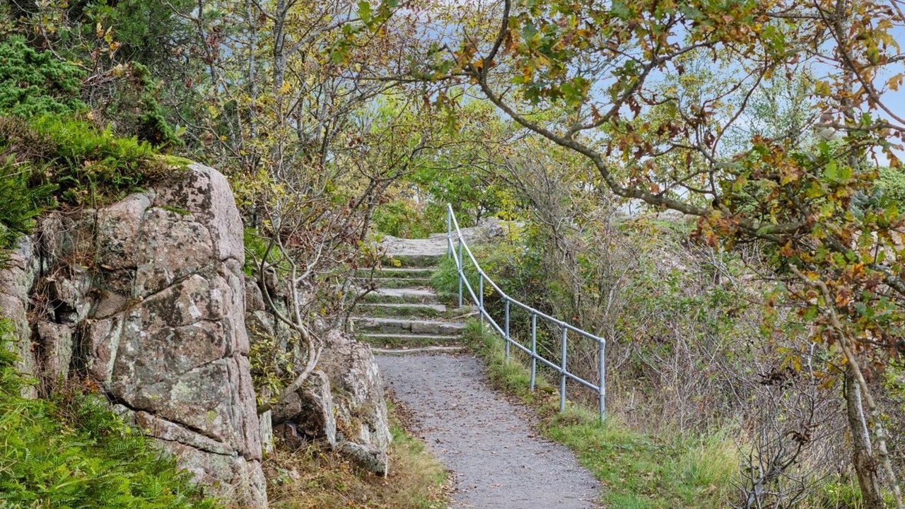 Photo of Outdoor in Sandkaas