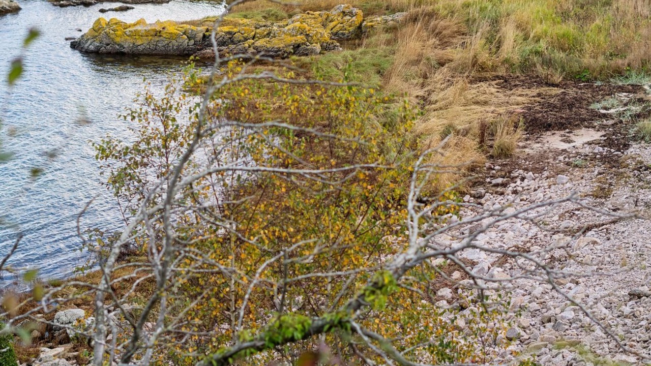 Photo of Outdoor in Sandkaas