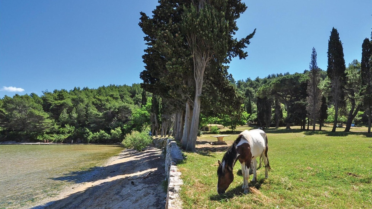 Photo of Others in Murvica