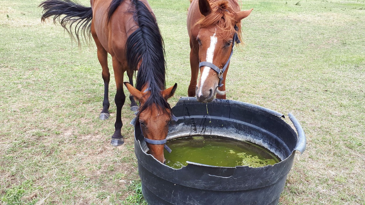 Photo of Others in Le Blanc