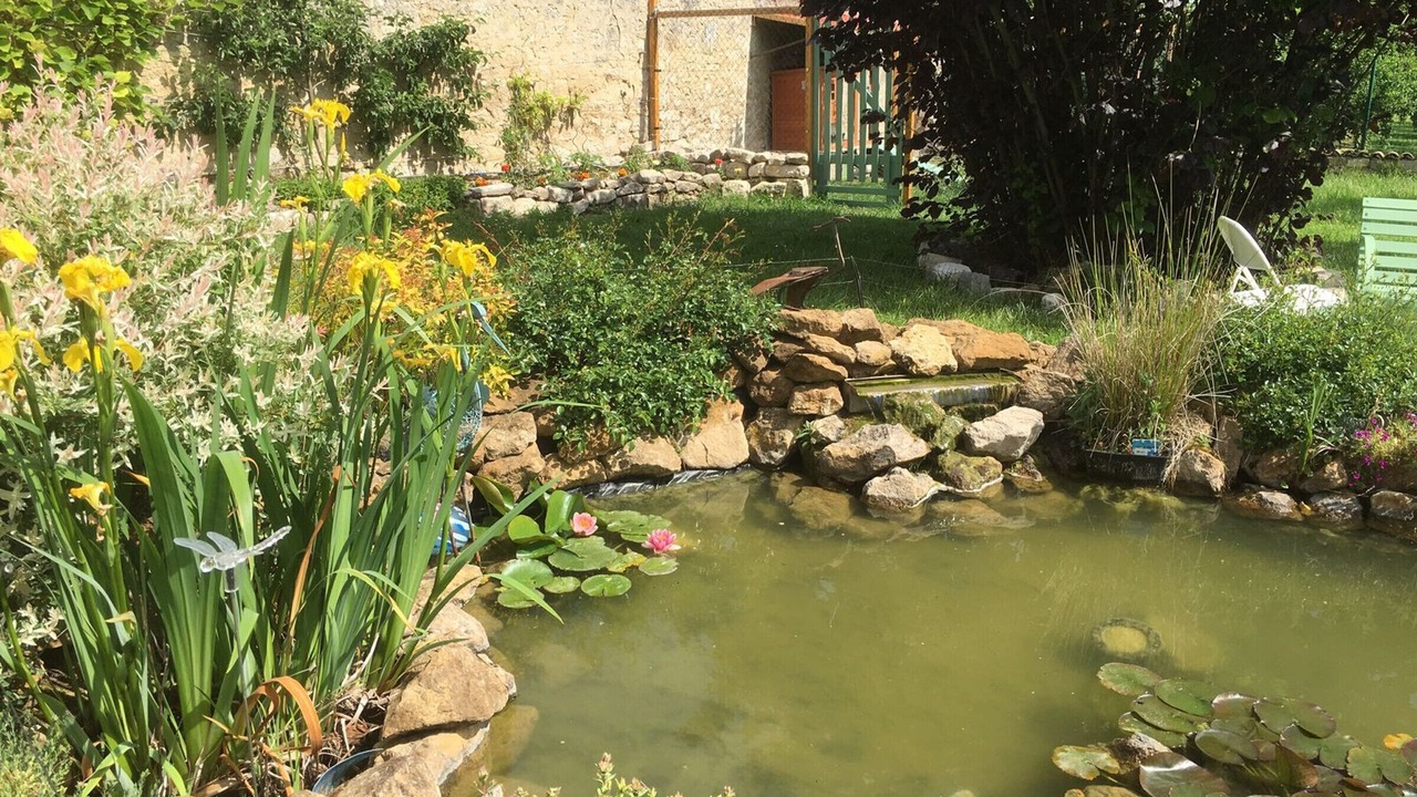 Photo of Outdoor in Watronville