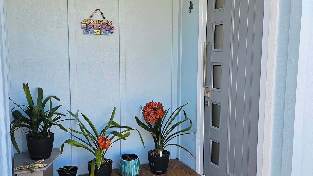 Photo of Others in Waikawa Bay