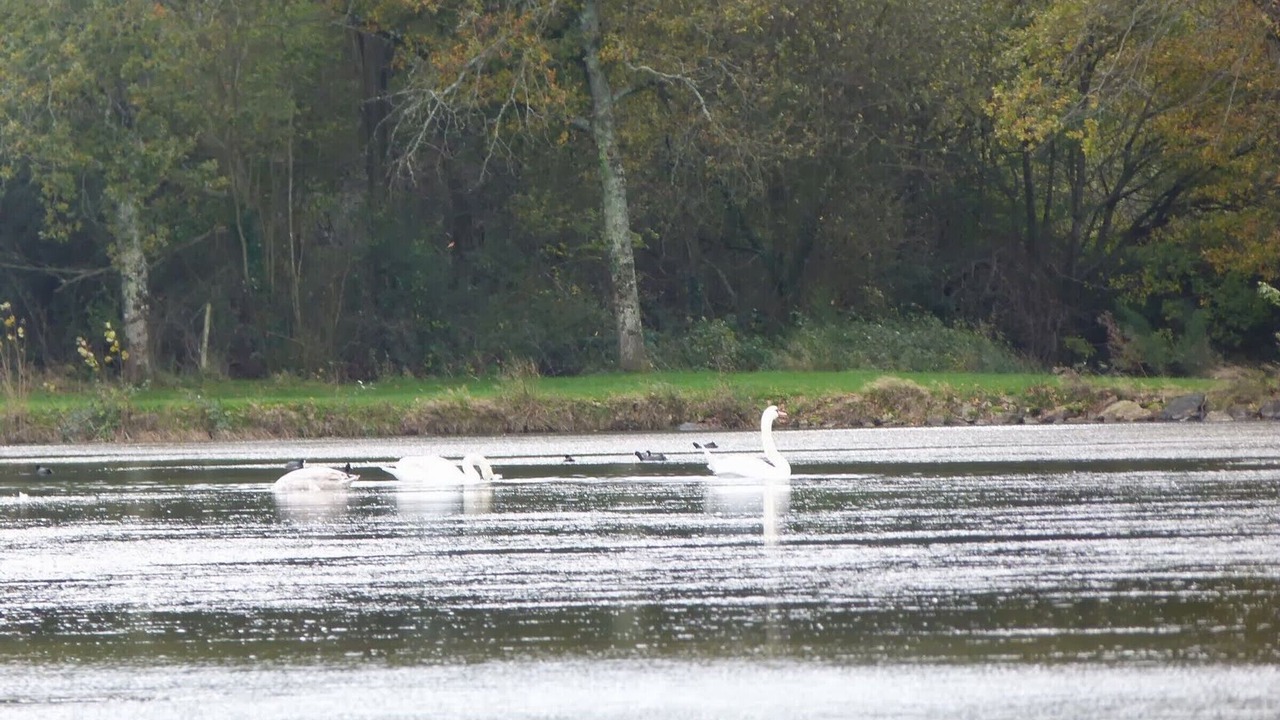 Photo of Others in Velles