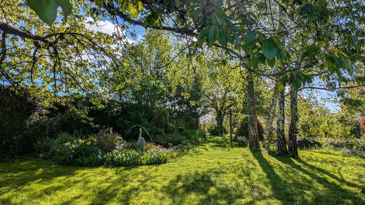 Photo of Outdoor in Chatillon-sur-Indre