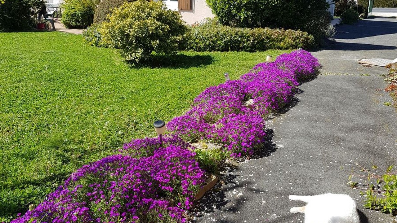 Photo of Outdoor in Chatillon-sur-Indre