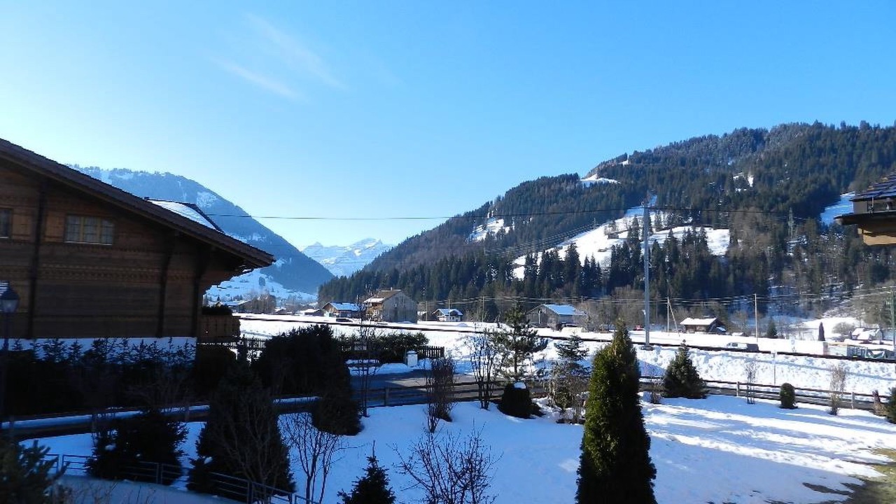 Photo of Others in Saanen