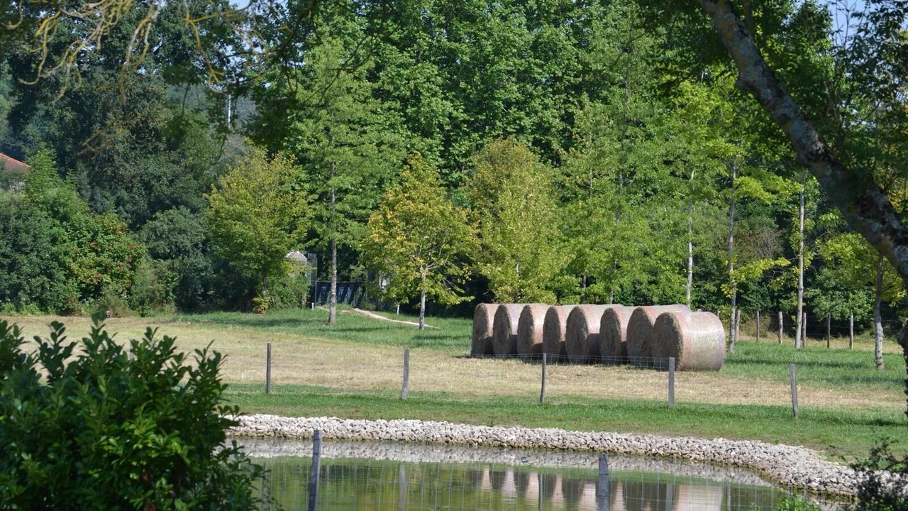 Photo of Outdoor in Mezeriat