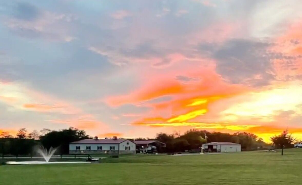 Photo of Others in Venus