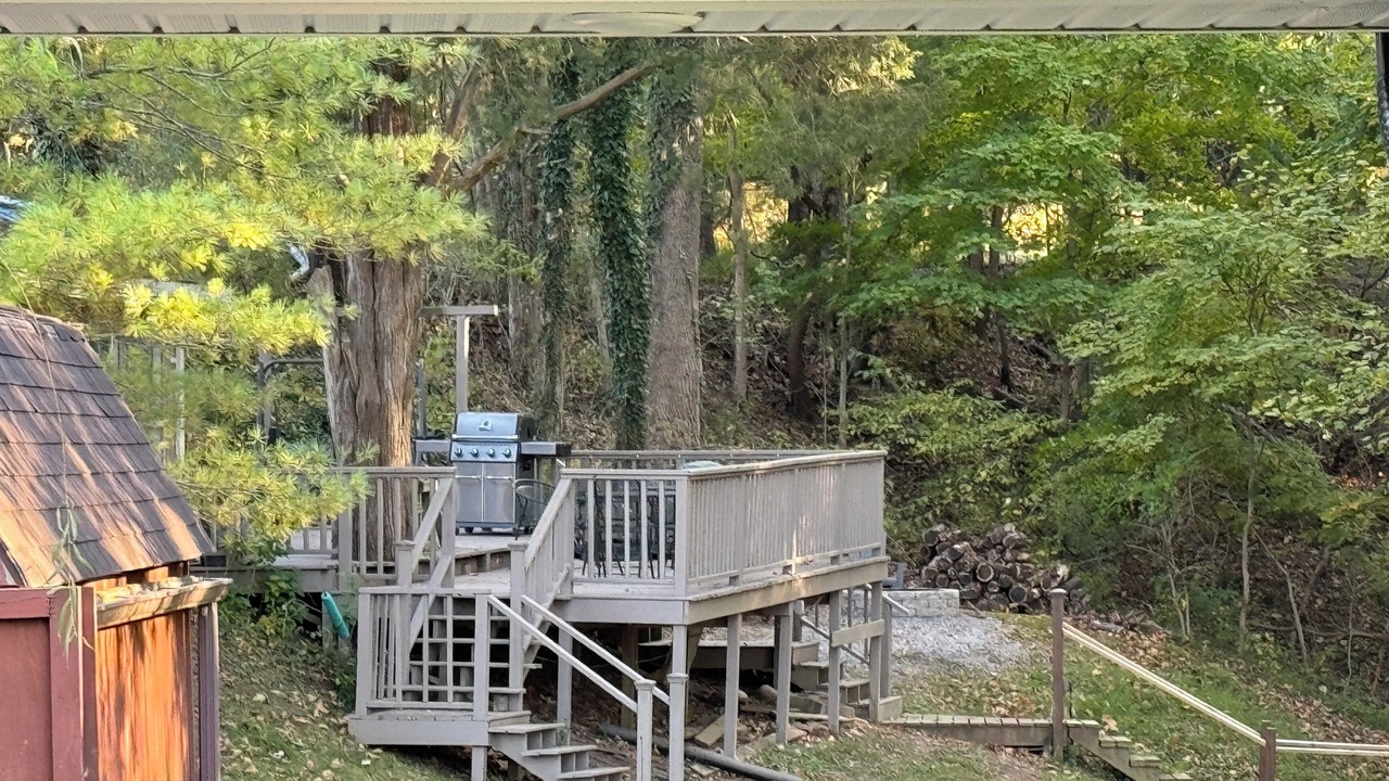 Photo of Outdoor in Wolf Creek