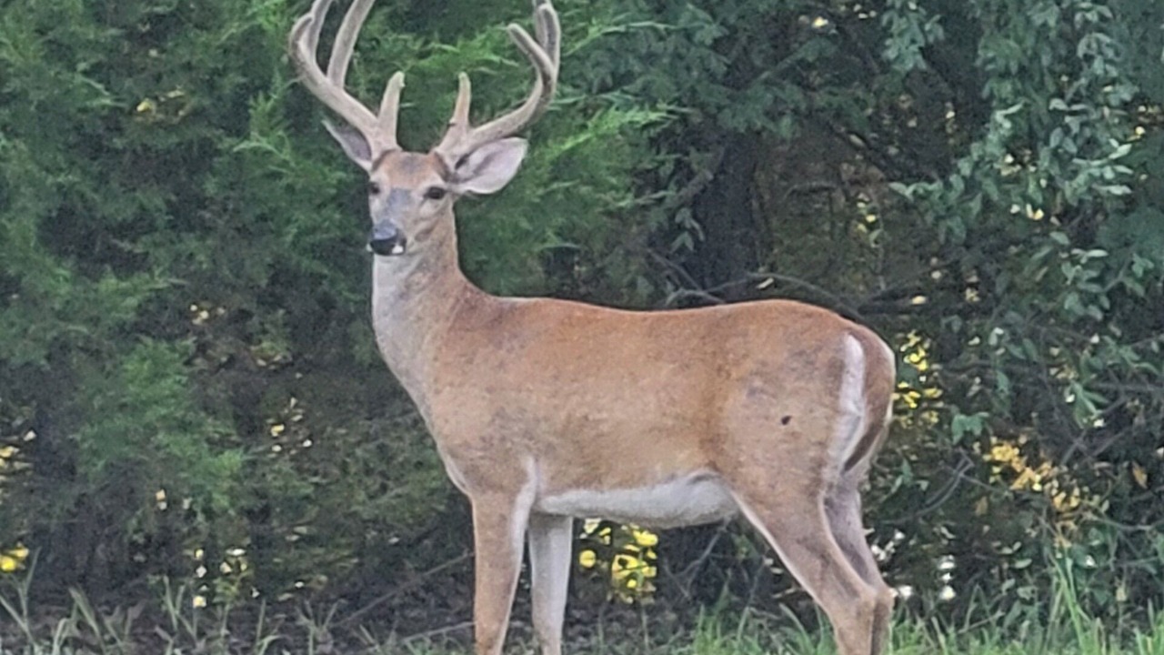 Photo of Others in Wolf Creek