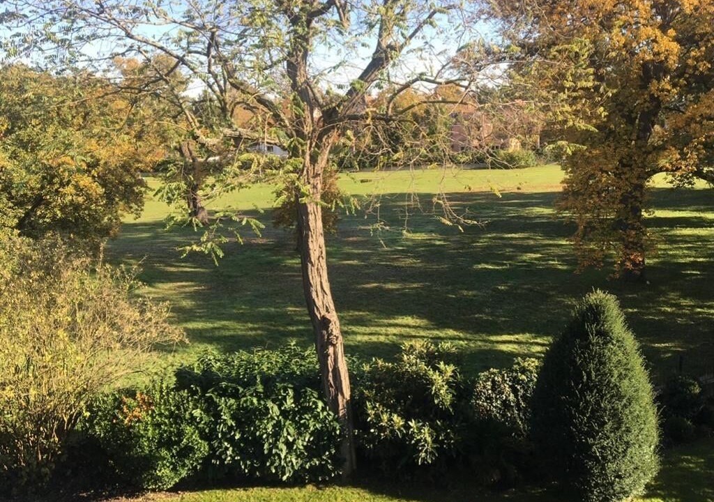 Photo of Outdoor in Le Vesinet