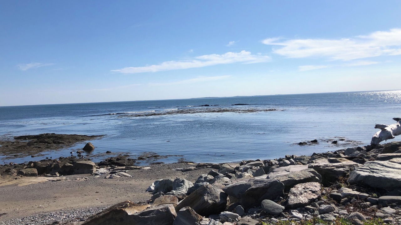 Photo of Others in Rye