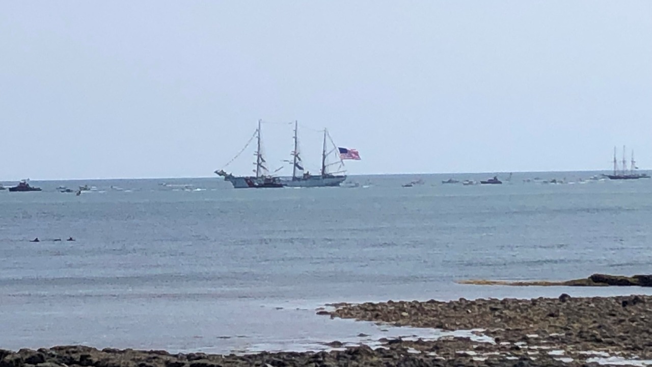 Photo of Others in Rye