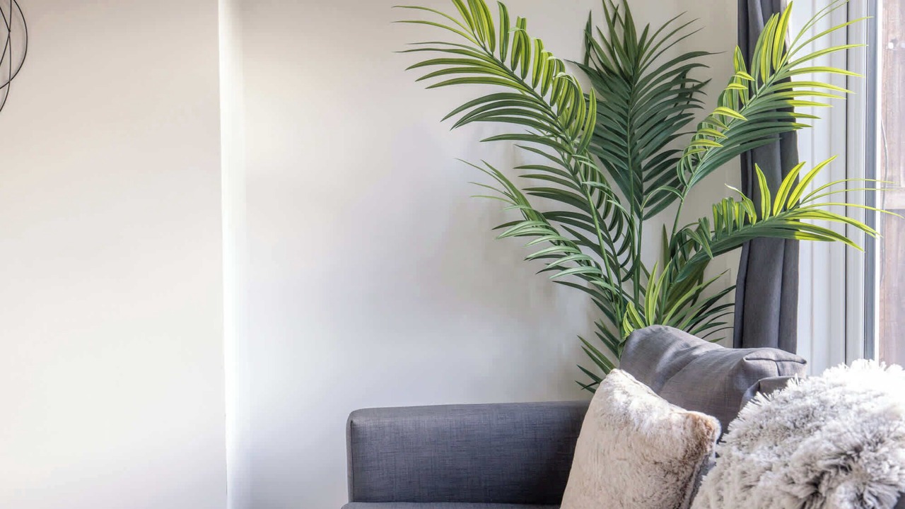 Photo of Others in Cramlington