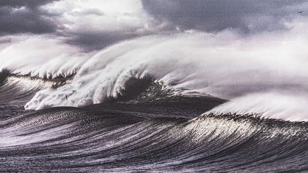 Photo of Others in Zarautz