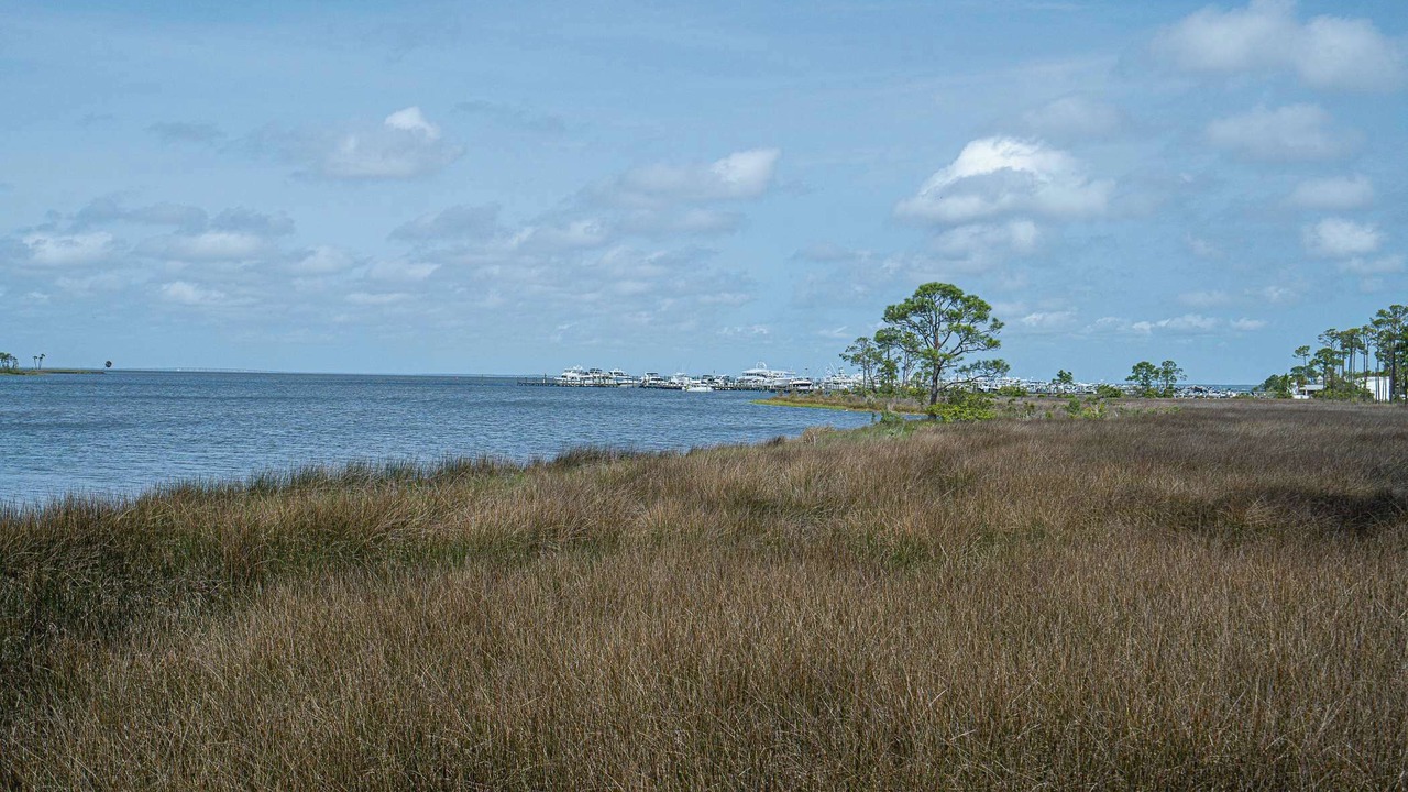 Photo of Others in Baytowne Wharf