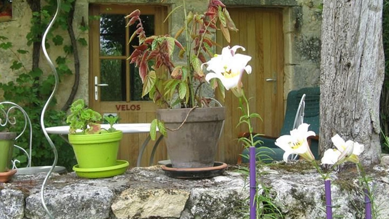Photo of Outdoor in Pouligny-Saint-Pierre