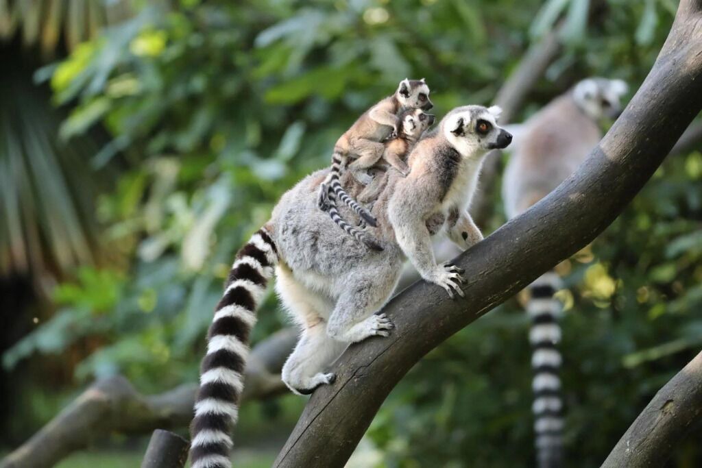 Photo of Others in Meusnes