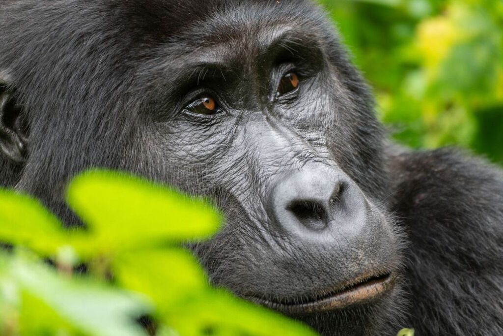 Photo of Others in Meusnes