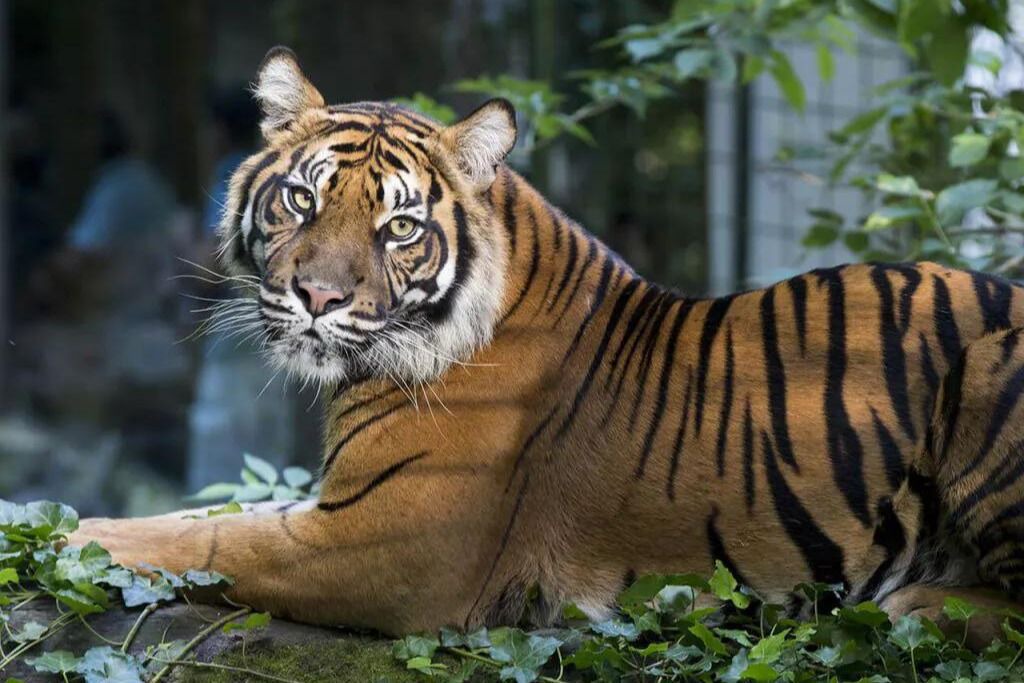 Photo of Others in Meusnes