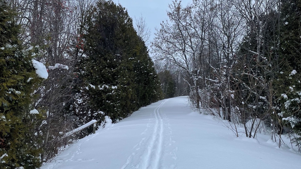 Photo of Others in Waubaushene