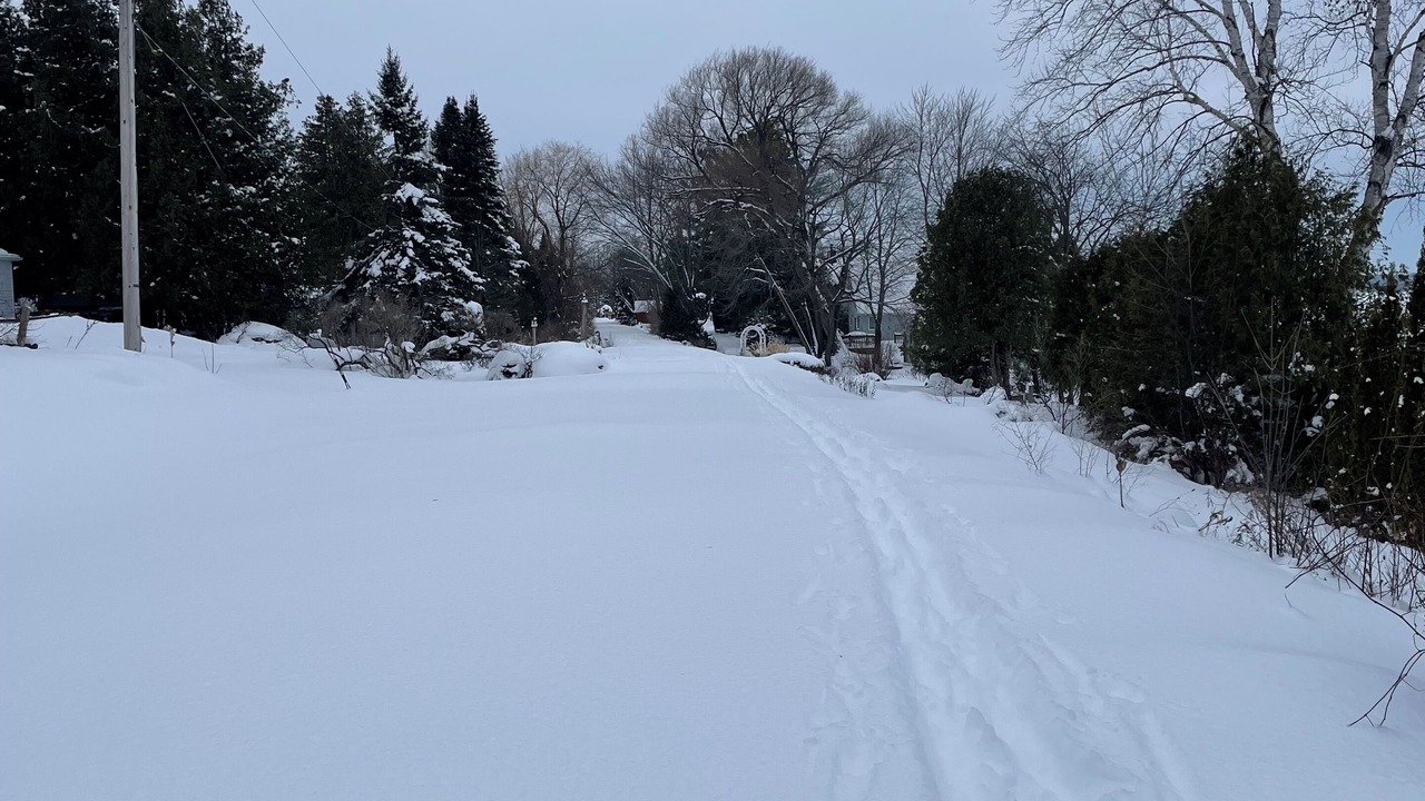 Photo of Others in Waubaushene
