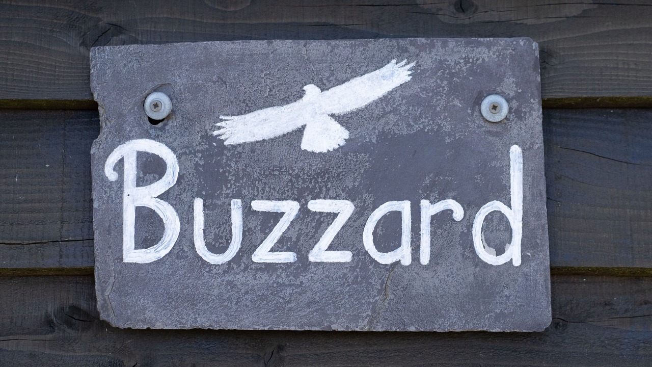 Photo of Others in Tirabad