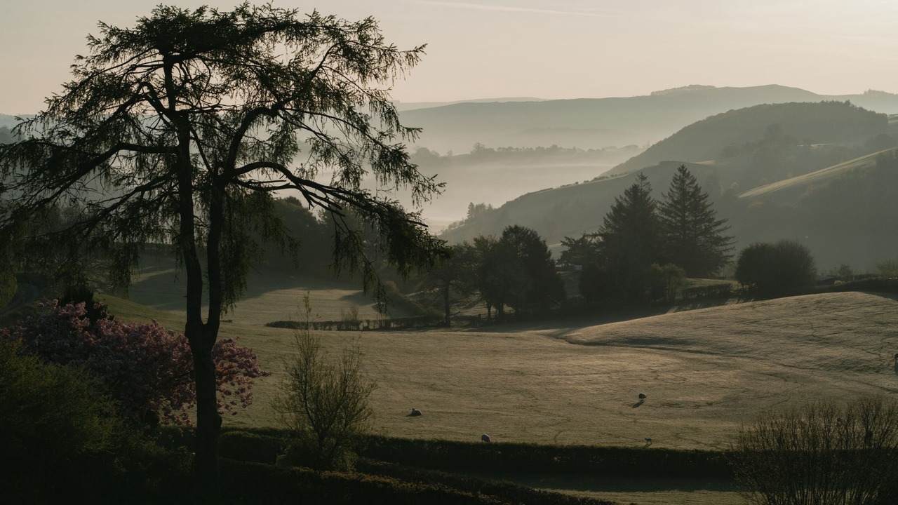Photo of Others in Tirabad