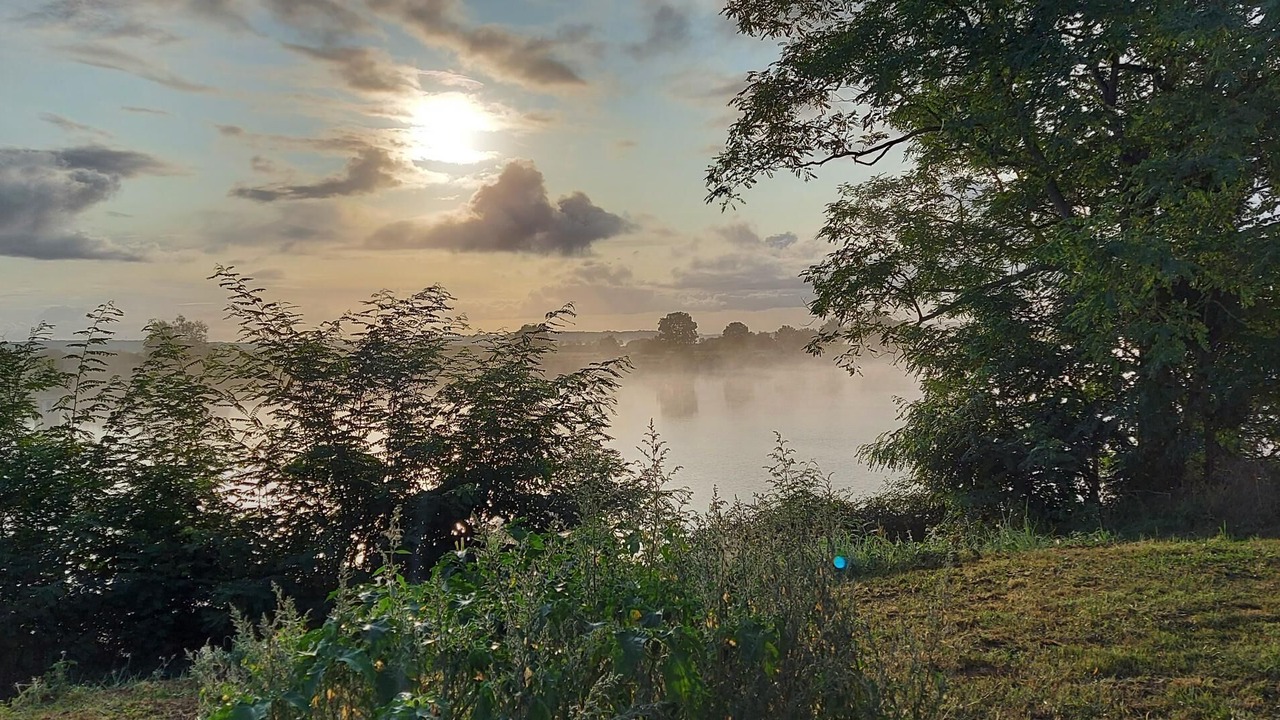 Photo of Others in Saint-Dolay