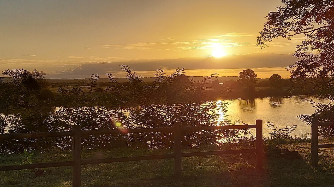 Photo of Others in Saint-Dolay