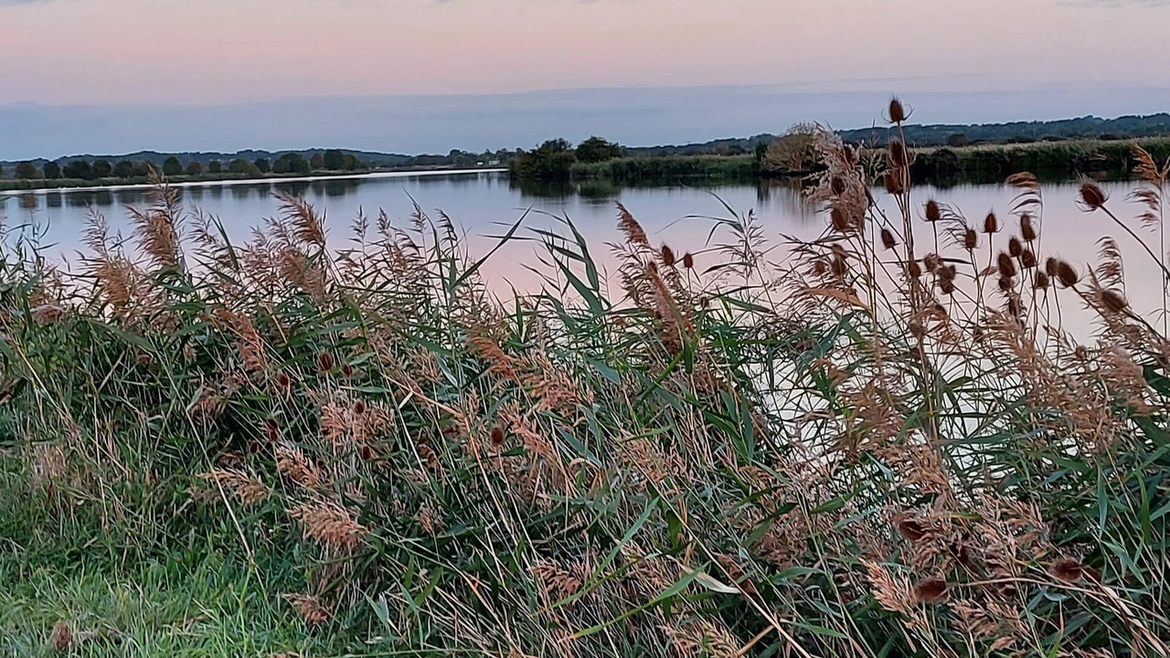 Photo of Others in Saint-Dolay