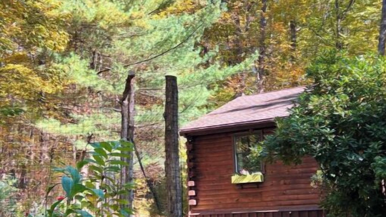 Photo of Outdoor in New Paltz