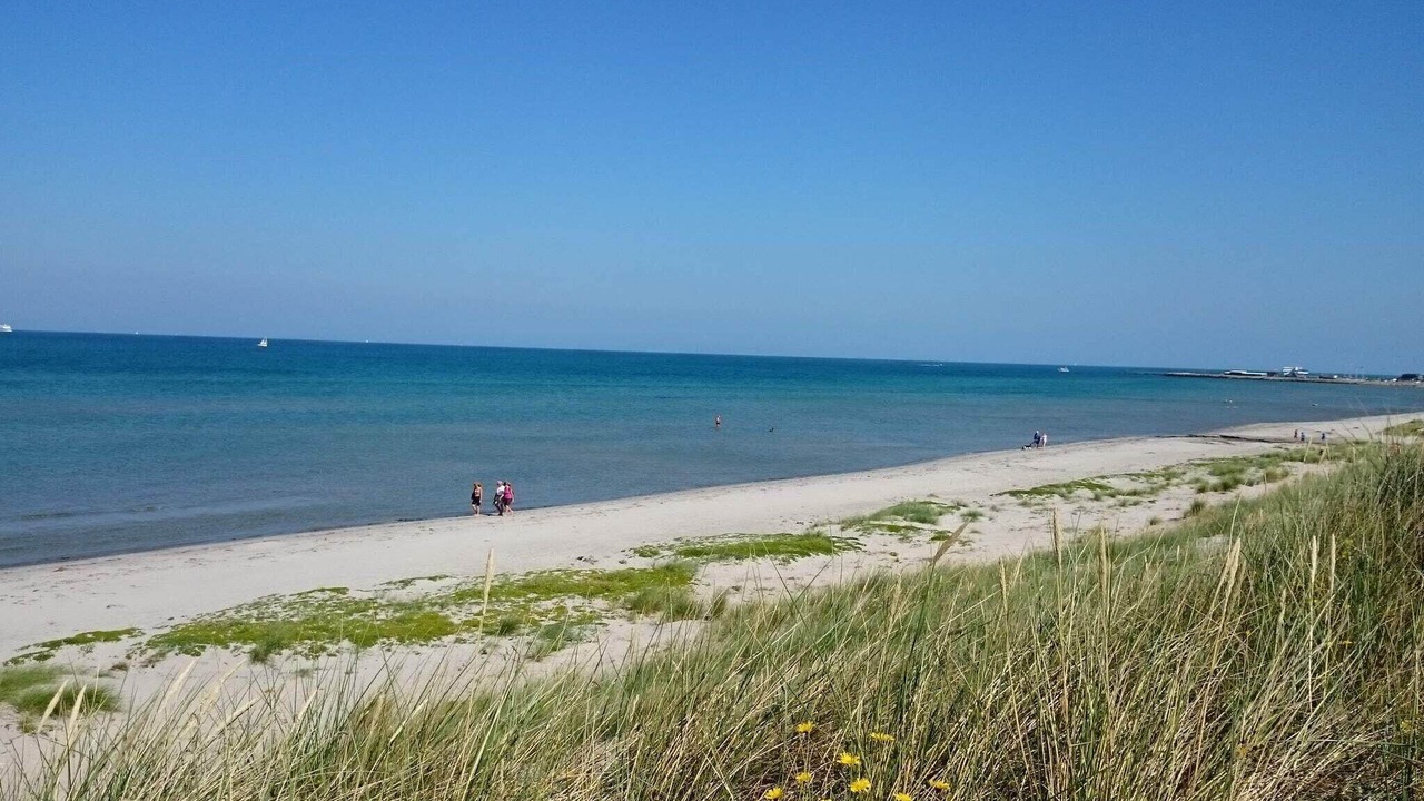 Photo of Others in Læsø