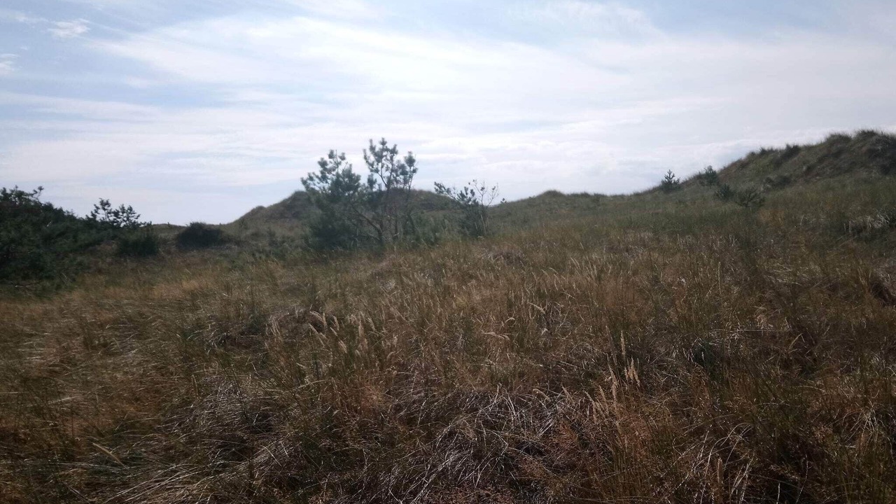 Photo of Others in Læsø