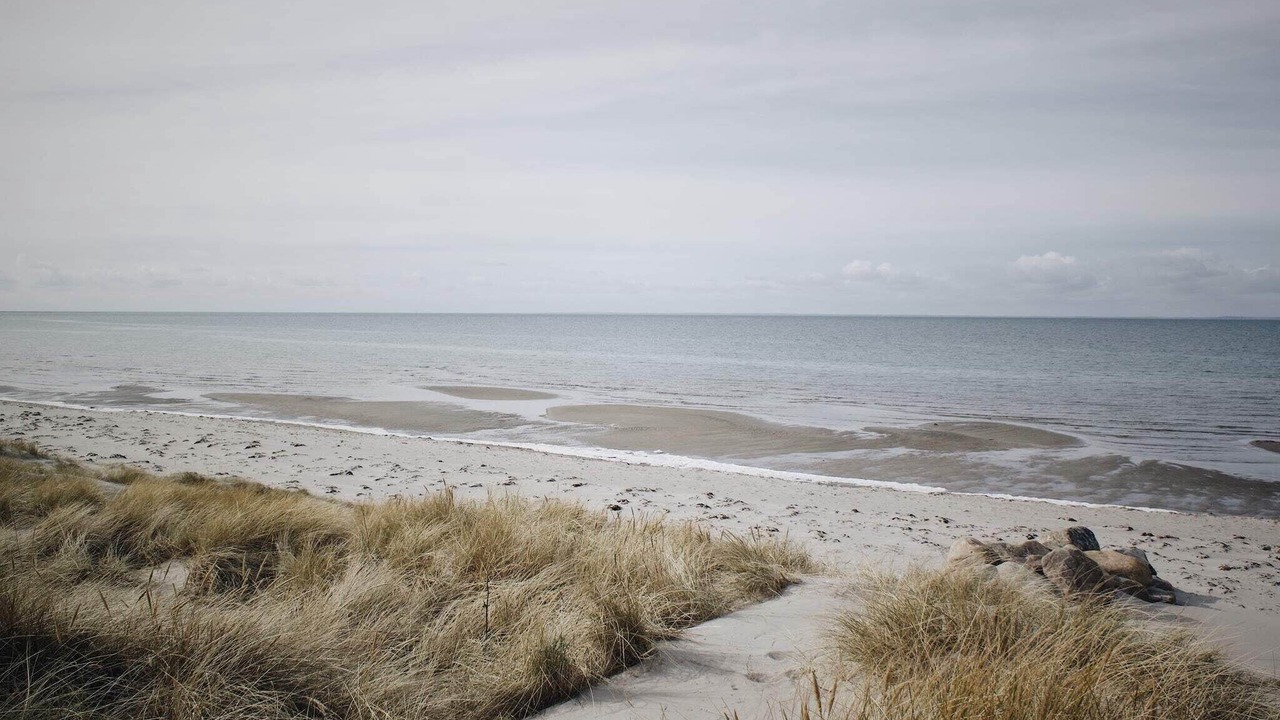 Photo of Others in Læsø