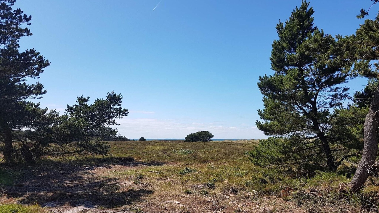 Photo of Others in Læsø
