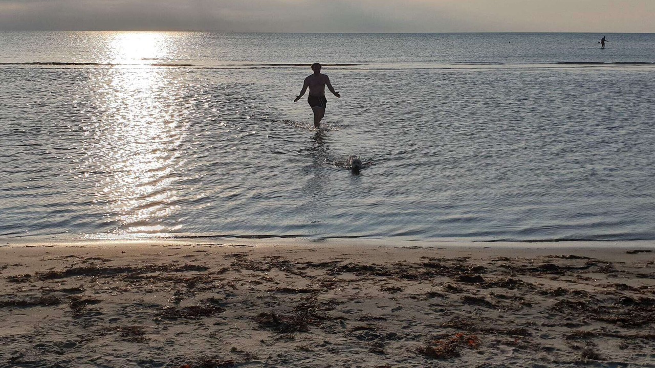 Photo of Others in Læsø