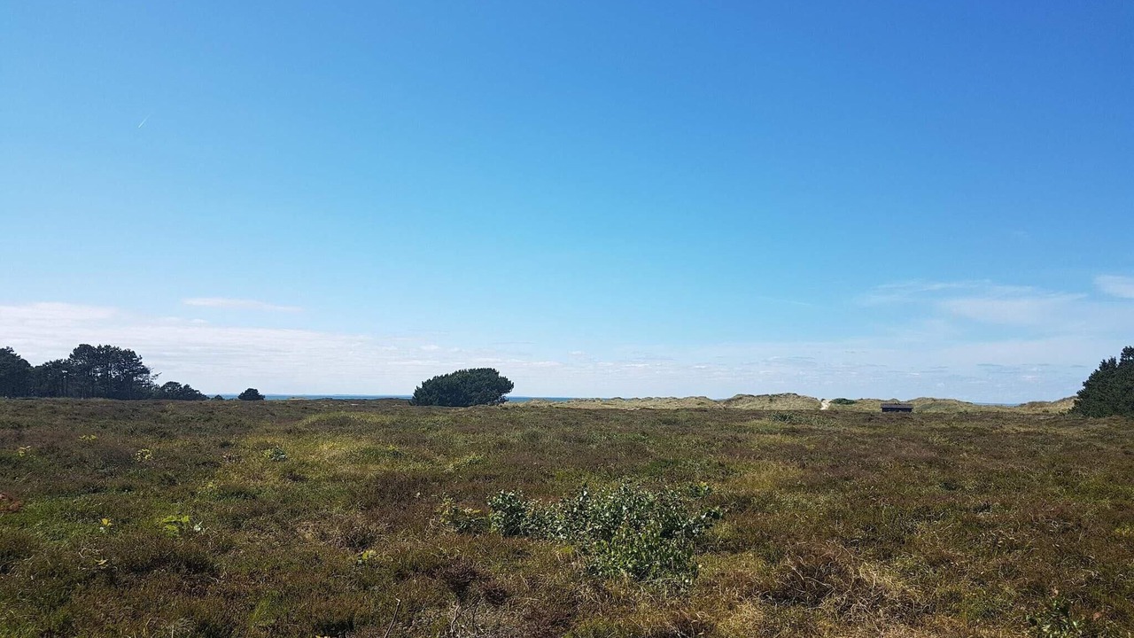 Photo of Others in Læsø