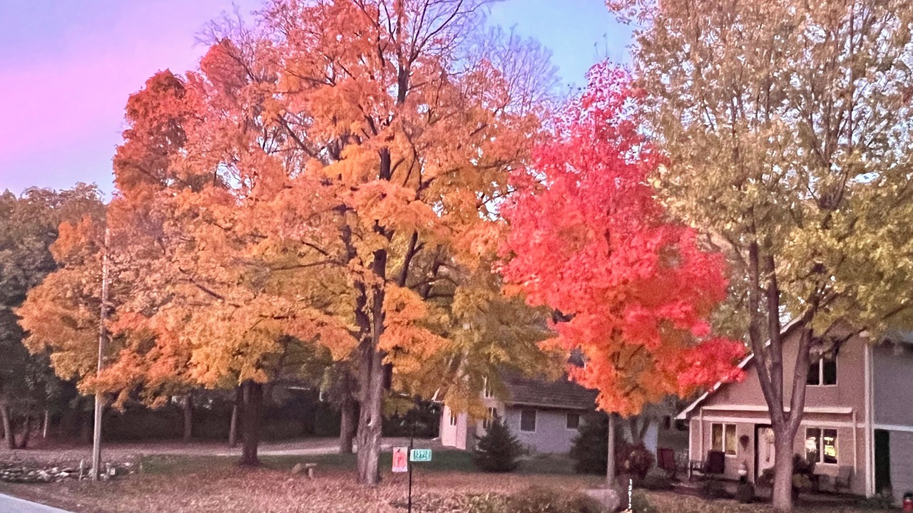 Photo of Outdoor in Spirit Lake