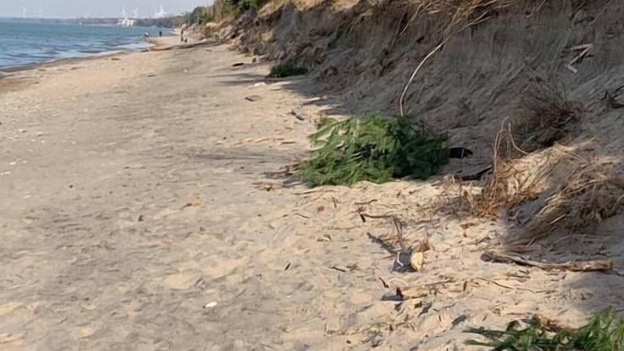 Photo of Others in Grand Bend