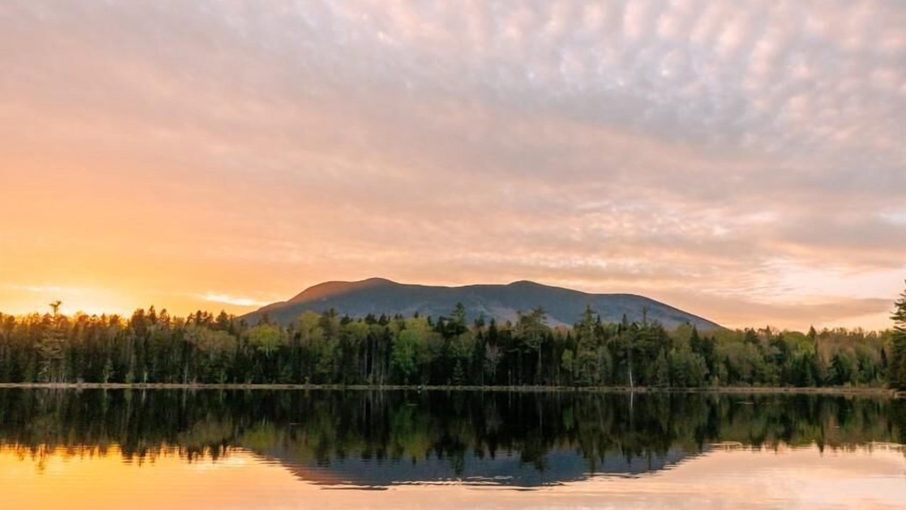 Photo of Others in Brownville