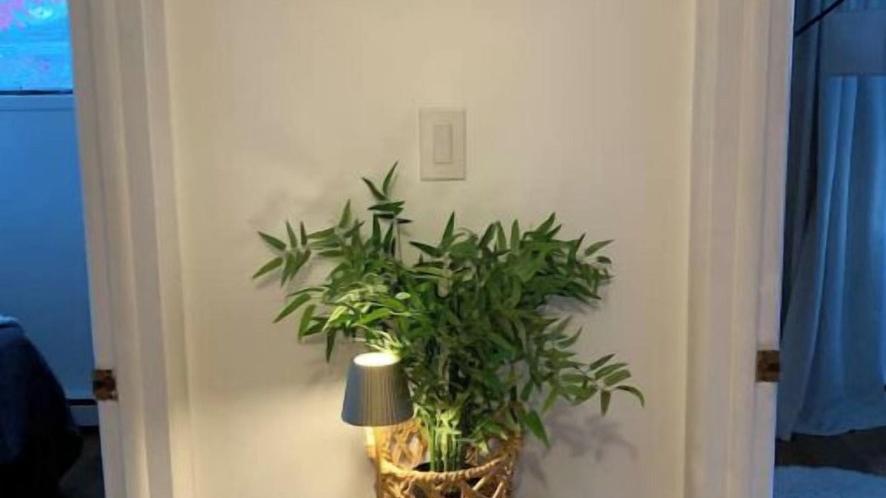 Photo of Bedroom in McKownville