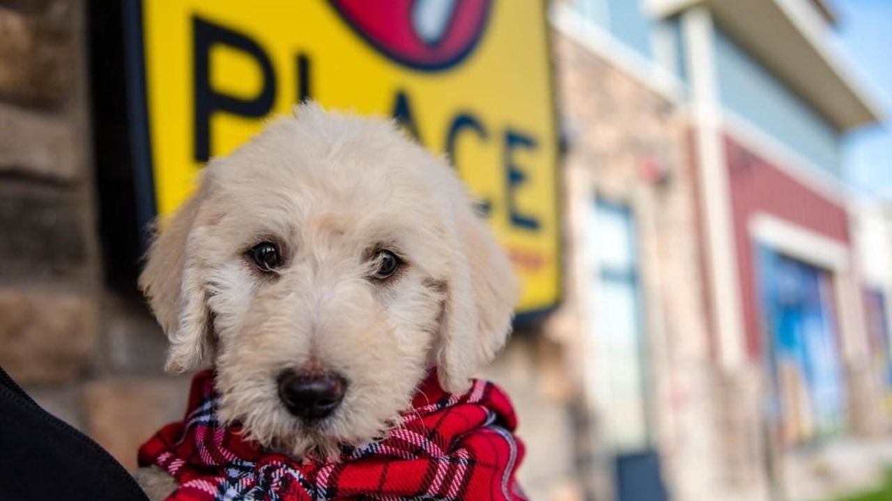 Photo of Others in Pooler