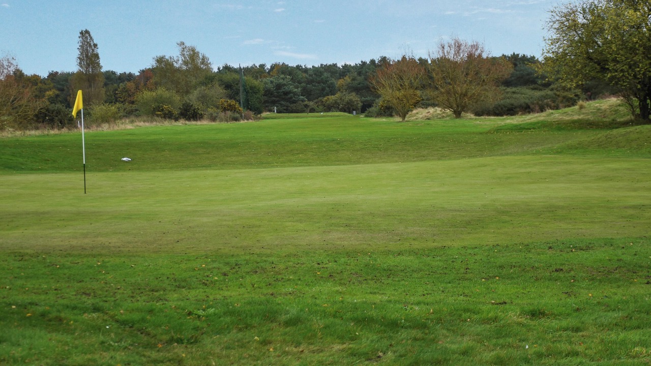 Photo of Others in Hopton